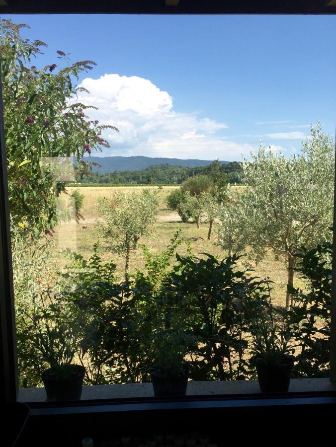 Villa Spacieuse Avec Terrasse Et Vue Mont Ventoux Entrechaux Exterior photo